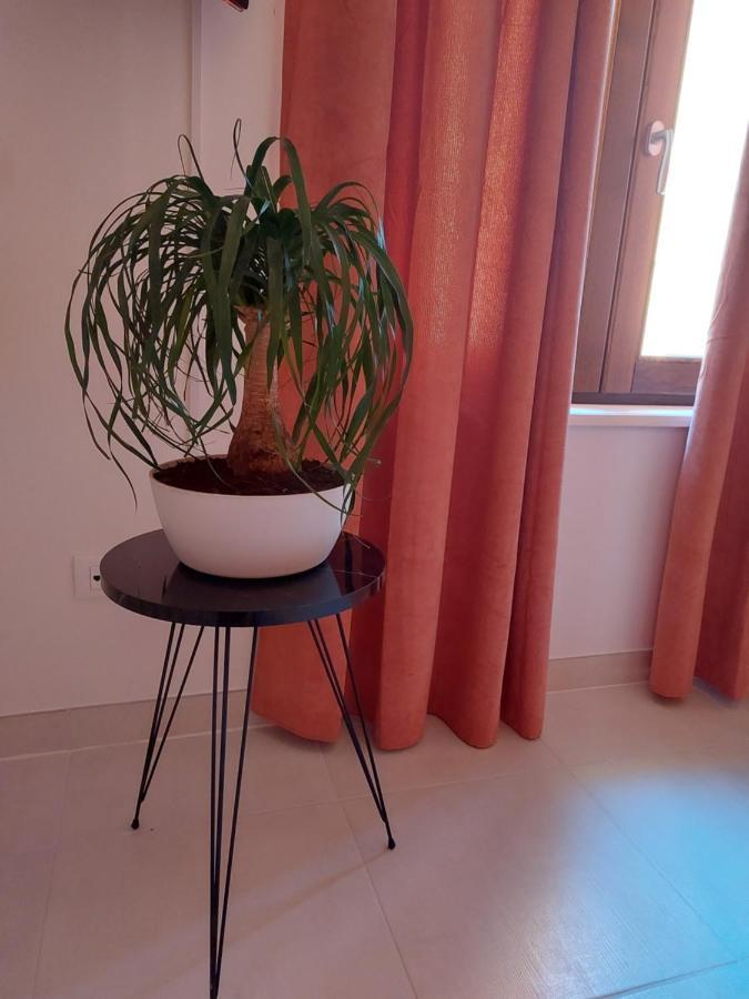 B & B Piazza Angioina L'Aquila Luaran gambar